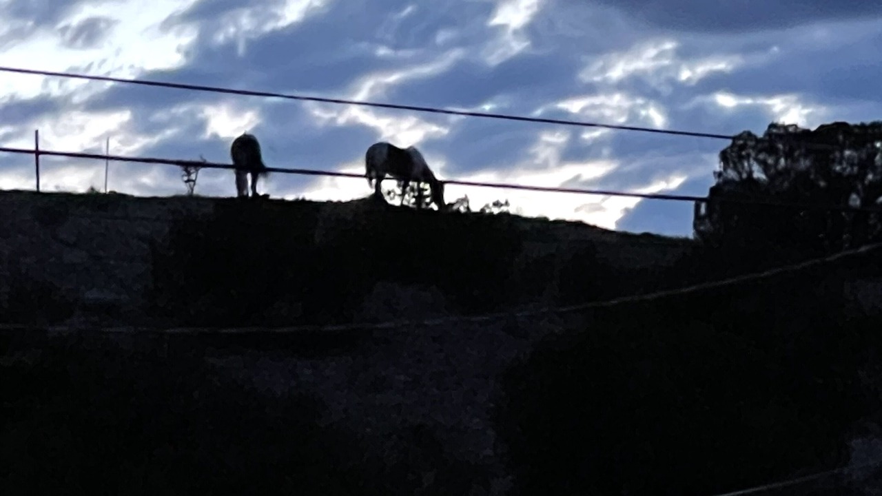 Photo of Outdoor in Placitas