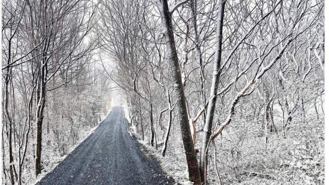 Photo of Outdoor in North Hero
