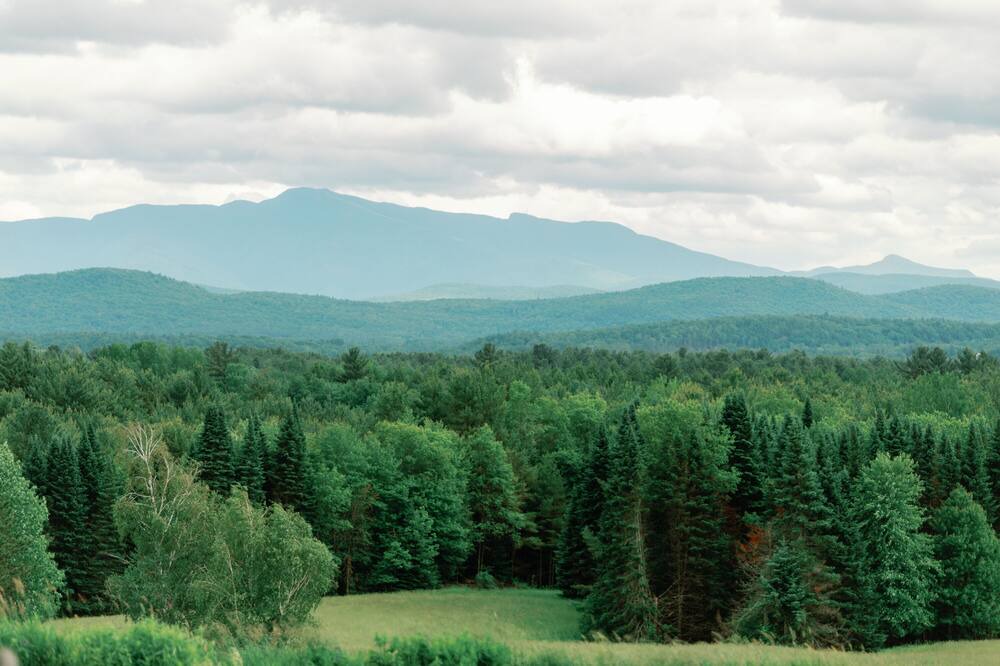 Photo of Others in Fairfax