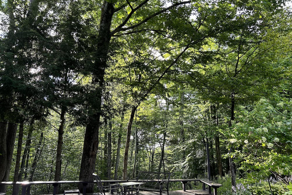 Photo of Outdoor in Jericho