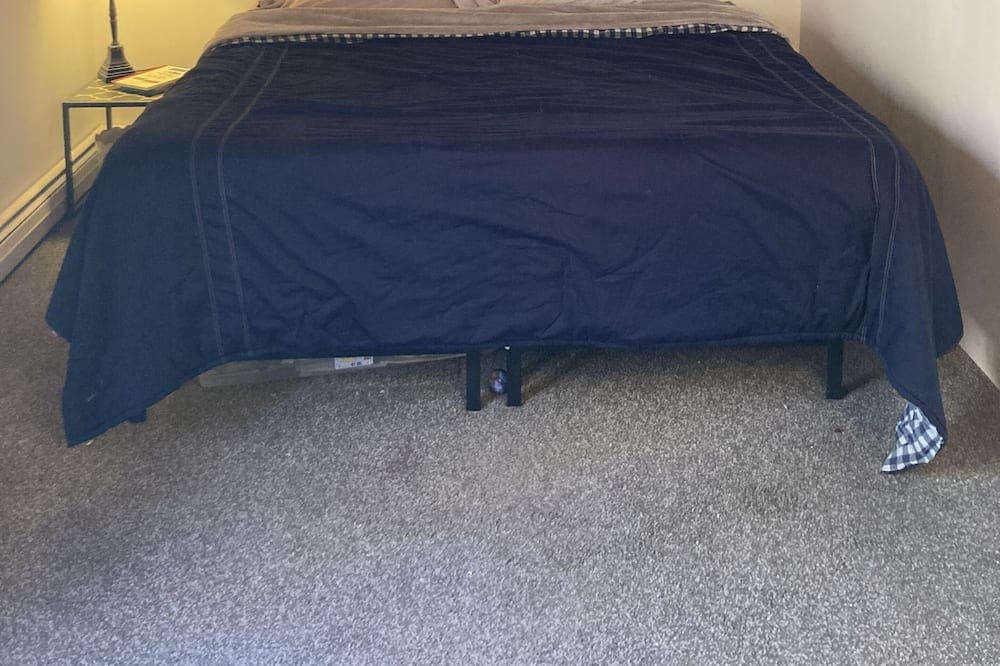 Photo of Bedroom in Jericho