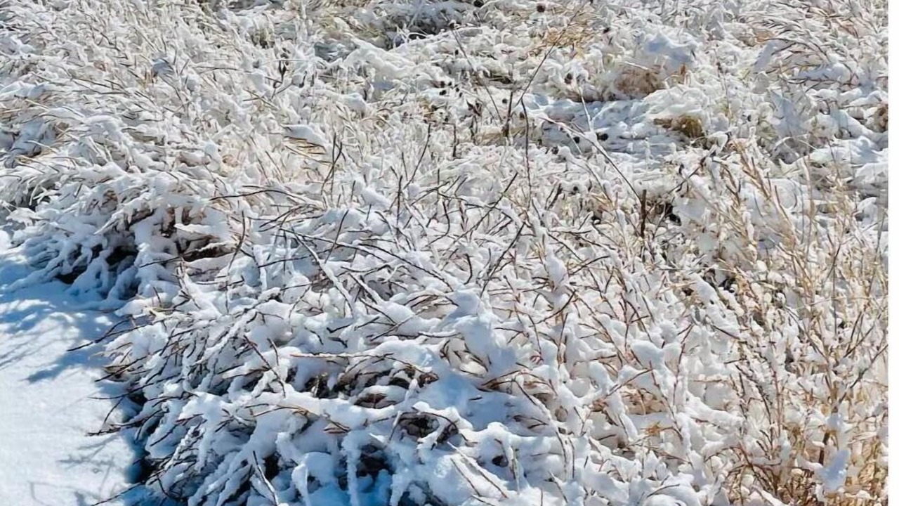 Photo of Others in Eldorado at Santa Fe
