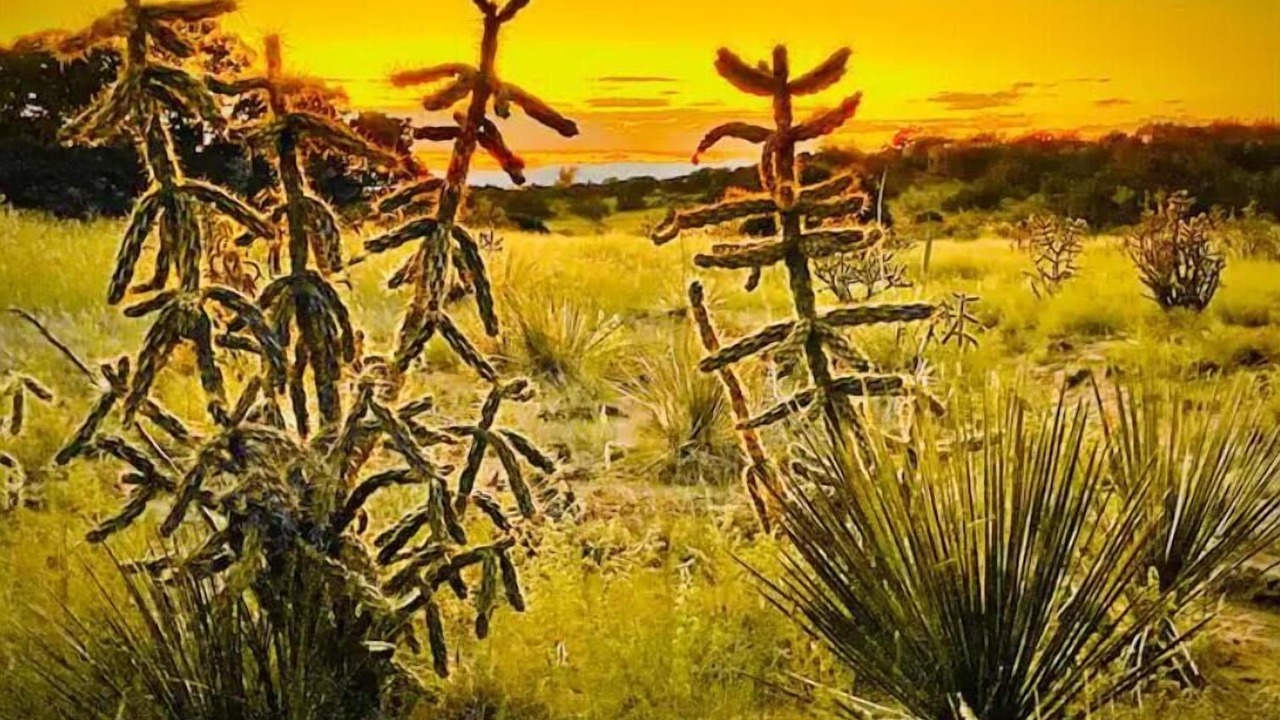Photo of Others in Eldorado at Santa Fe