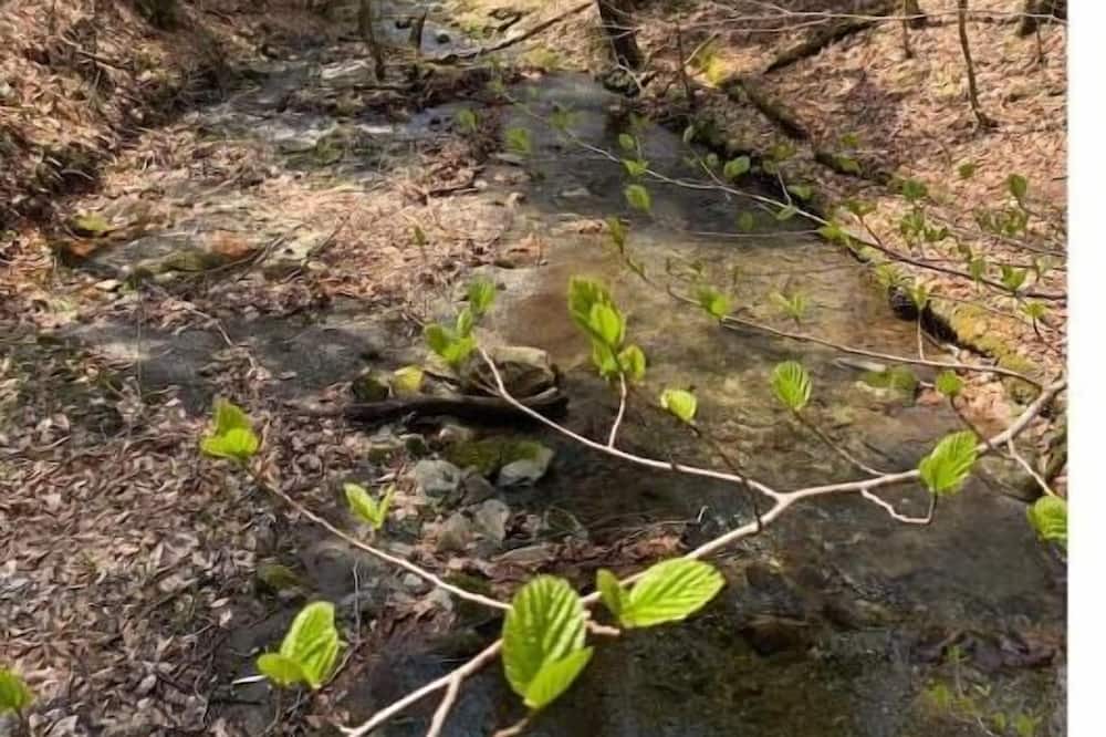 Photo of Outdoor in Wells