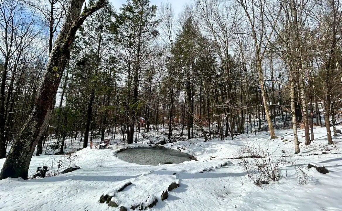 Photo of Others in Williamsville