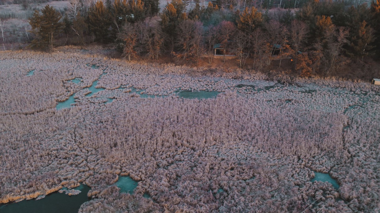 Photo of Outdoor in Ironton