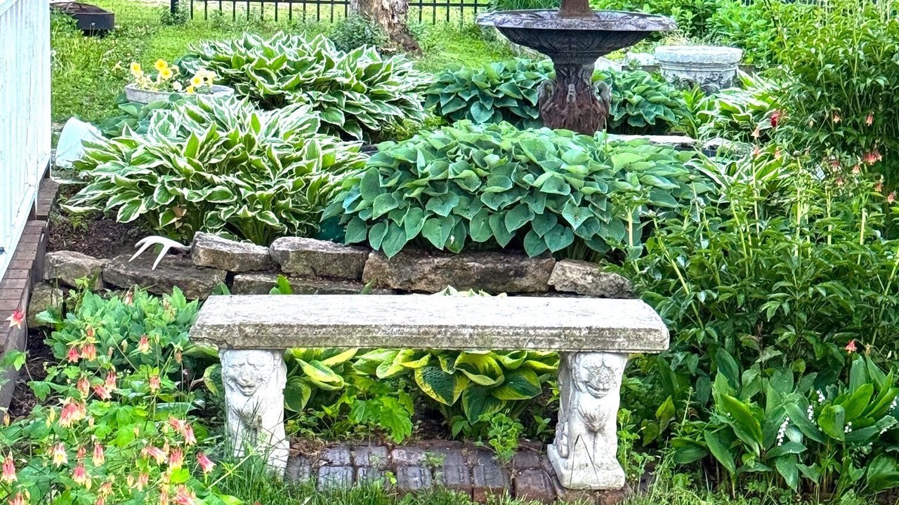 Photo of Patio Balcony in Peterson