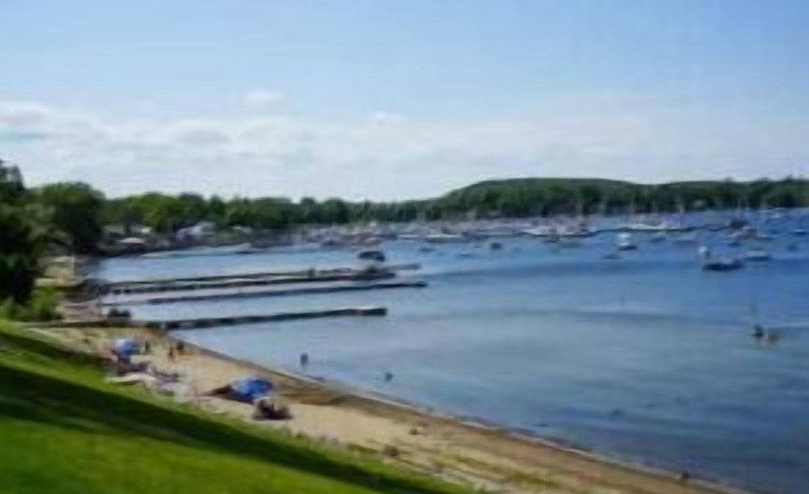 Photo of Others in Malletts Bay