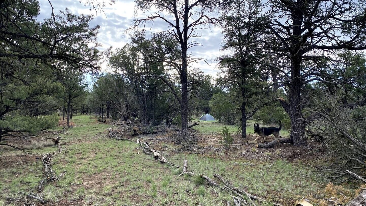Photo of Outdoor in Quemado
