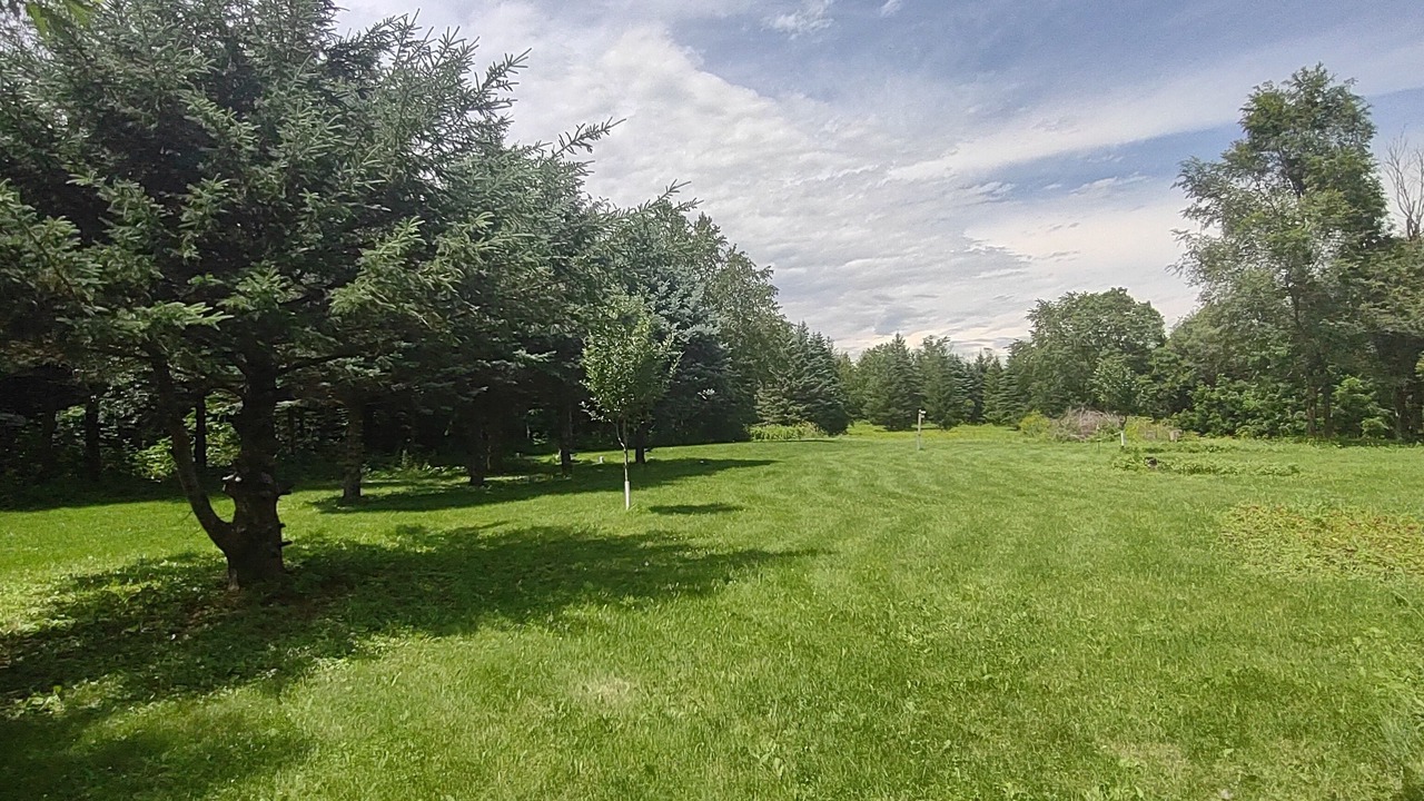 Photo of Others in Stewartville
