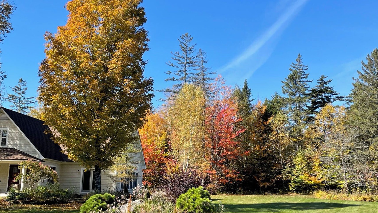 Photo of Outdoor in Greensboro