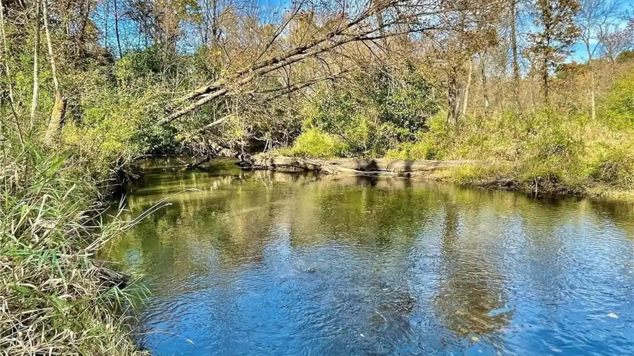 Photo of Others in Amery