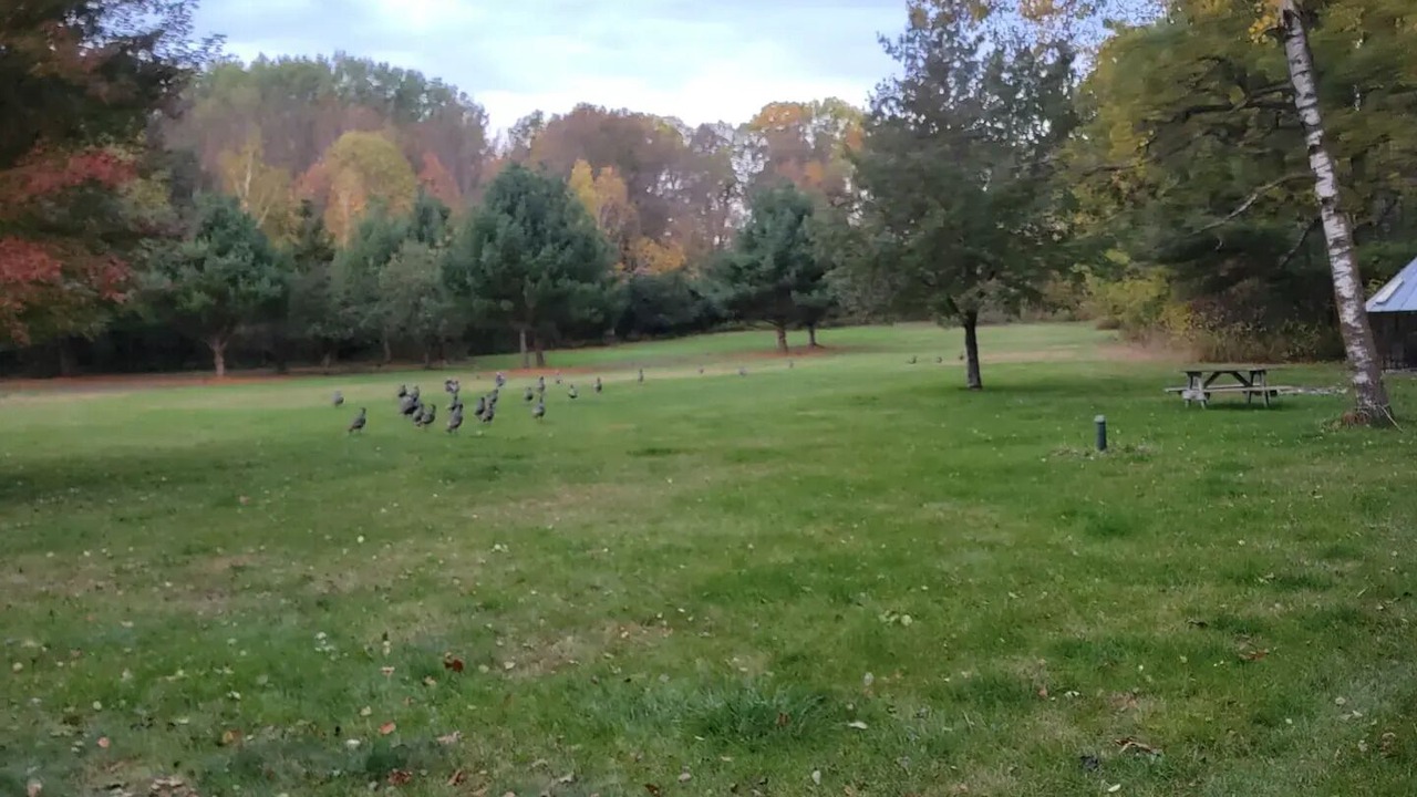Photo of Outdoor in Amery