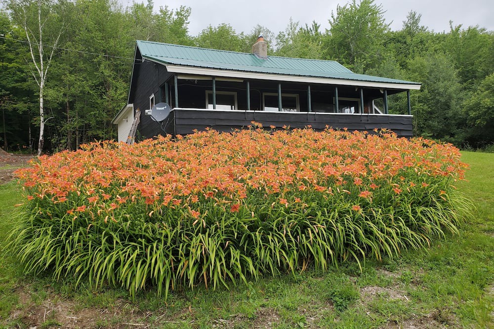 Photo of Outdoor in Ripton