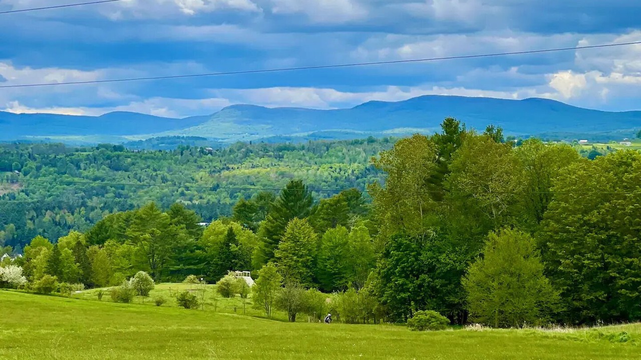 Photo of Others in Lyndon
