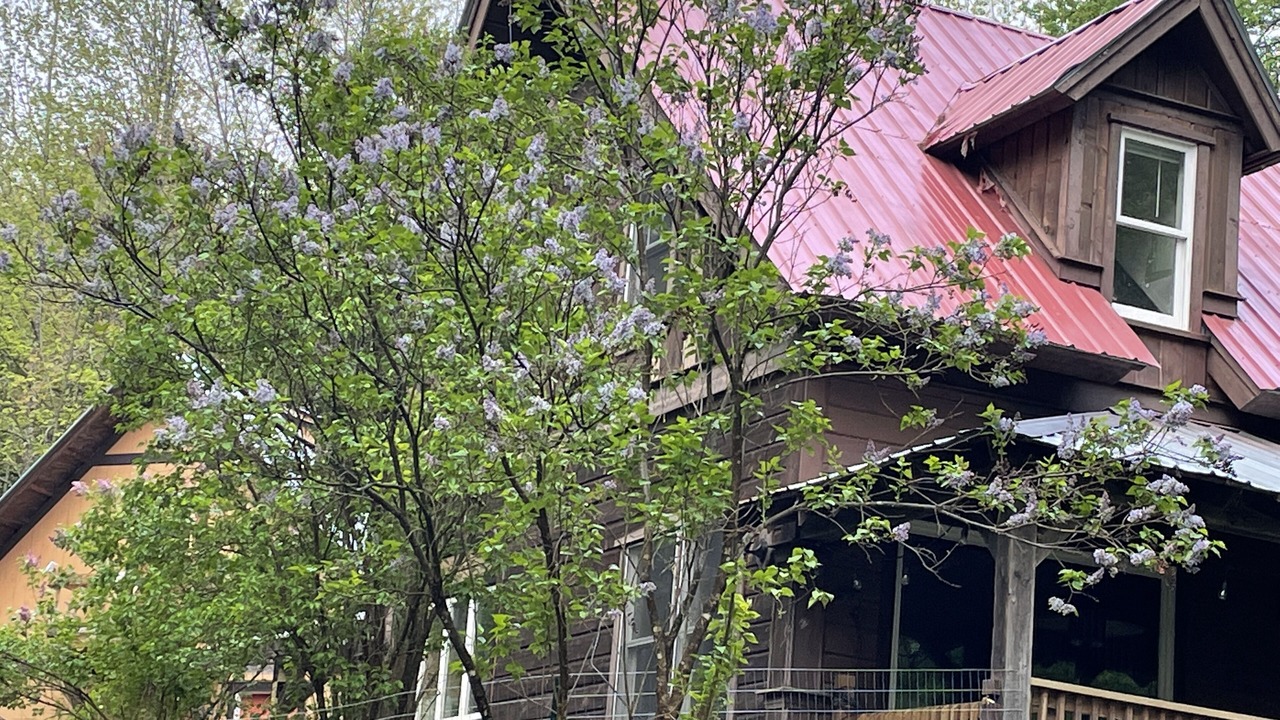 Photo of Outdoor in Wolcott