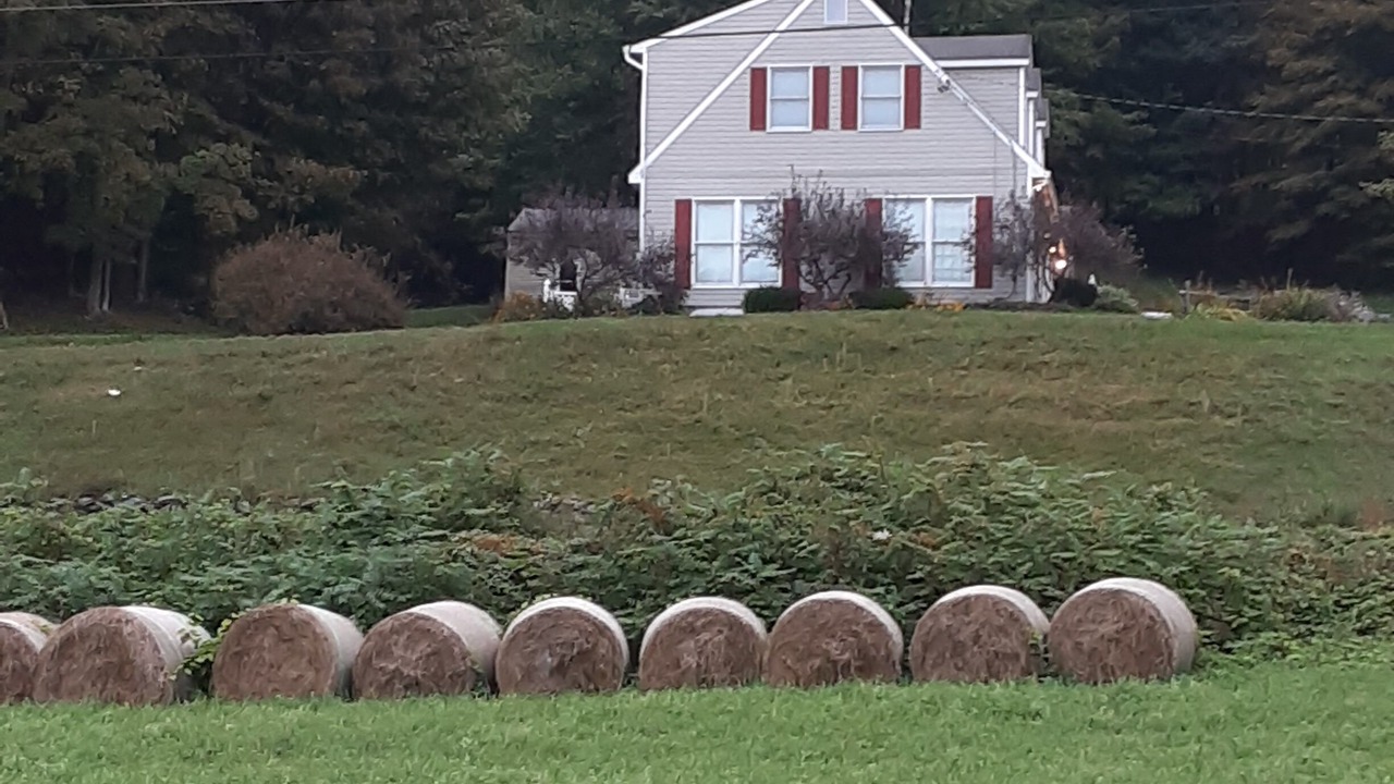 Photo of Outdoor in Cornish