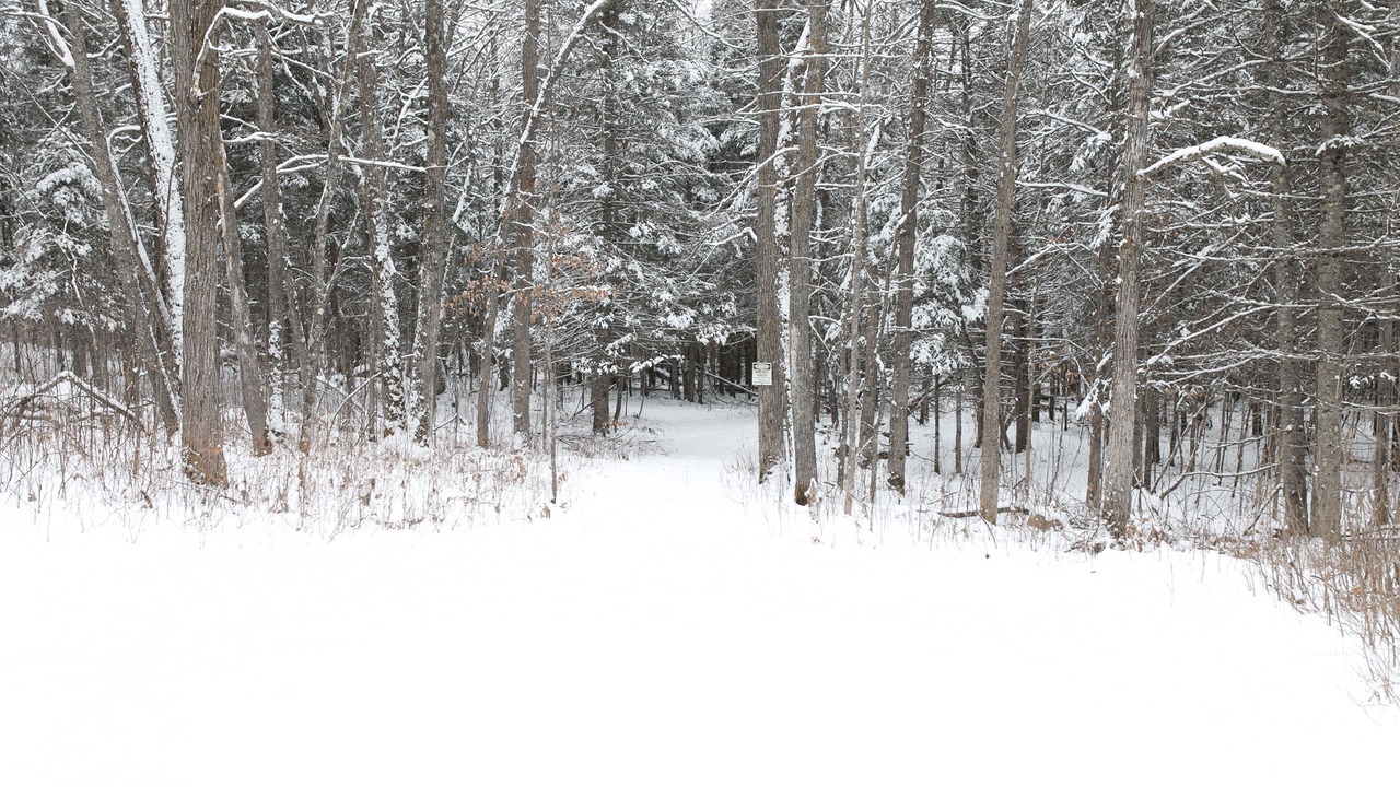 Photo of Others in LaPorte