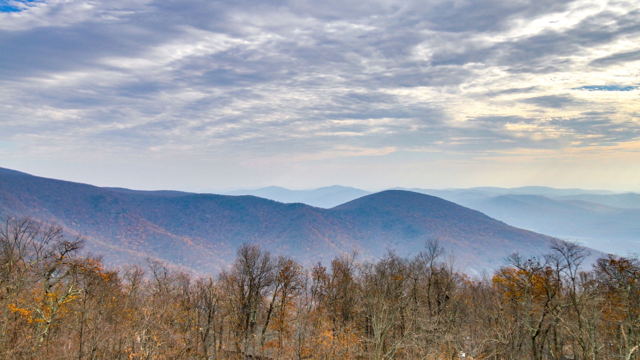 Photo of Others in Chestnut Springs