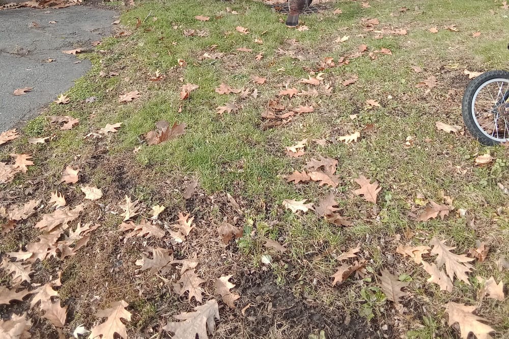 Photo of Outdoor in Northampton
