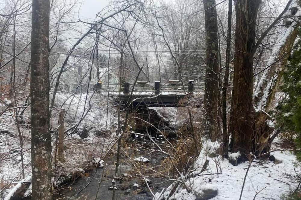 Photo of Others in Chittenden