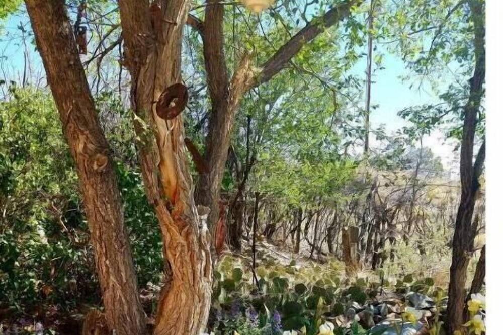 Photo of Others in Cerrillos
