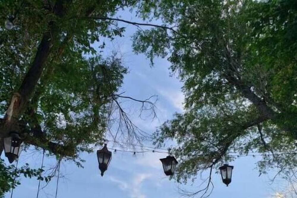 Photo of Outdoor in Cerrillos