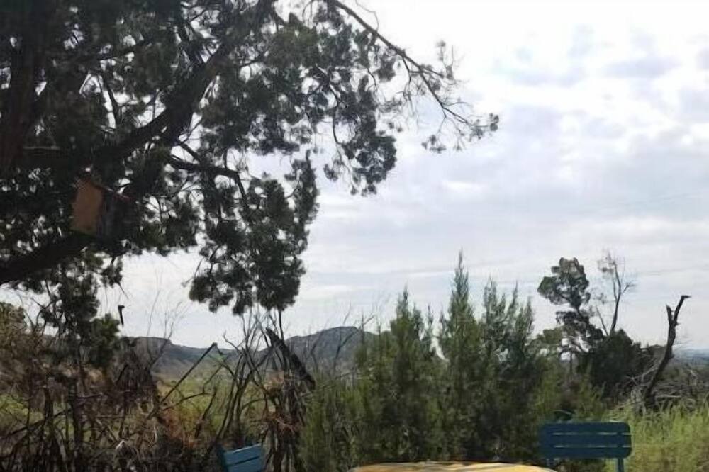Photo of Outdoor in Cerrillos