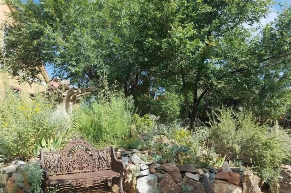 Photo of Outdoor in Cerrillos