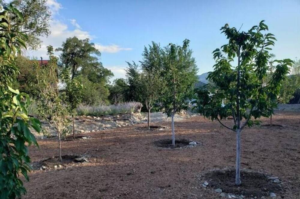 Photo of Outdoor in Cerrillos