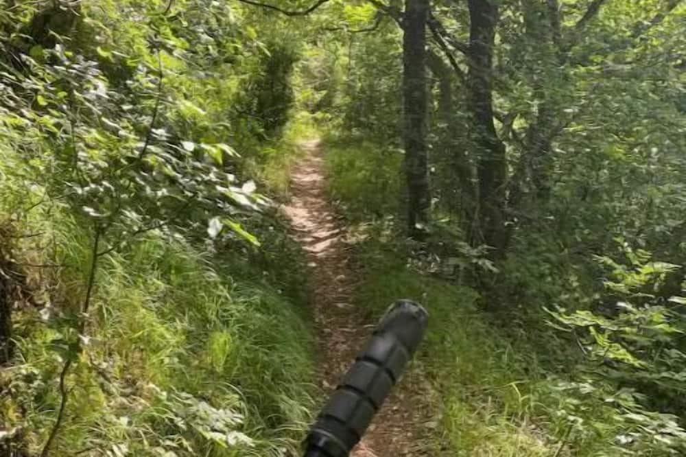 Photo of Outdoor in Huntington