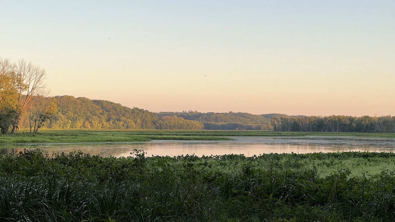 Photo of Others in Somerset