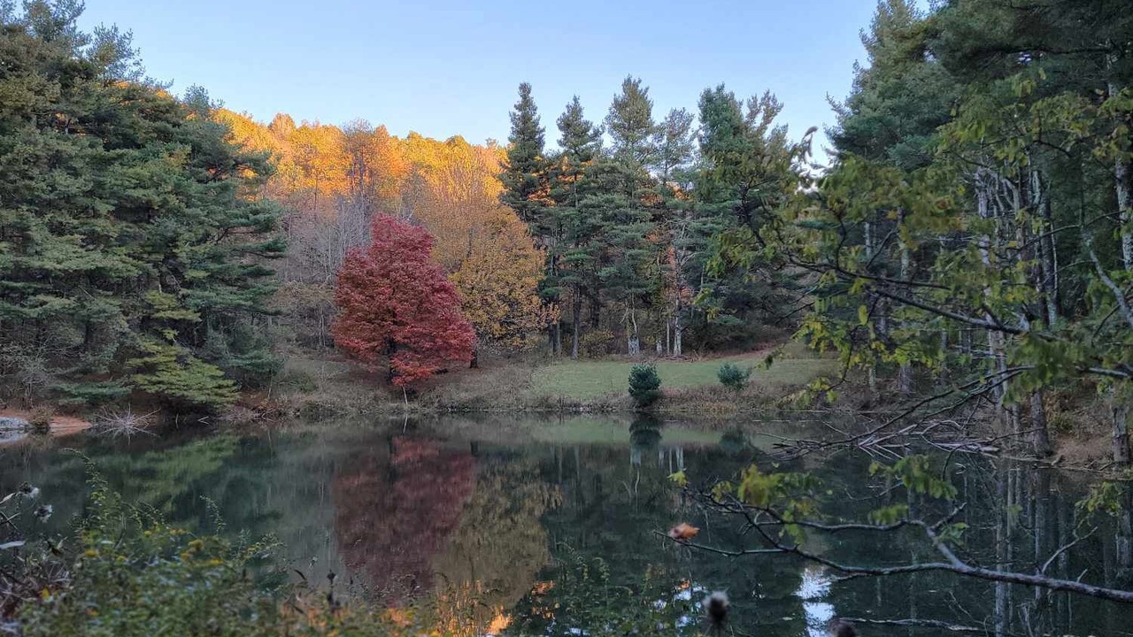 Photo of Outdoor in Burks Fork