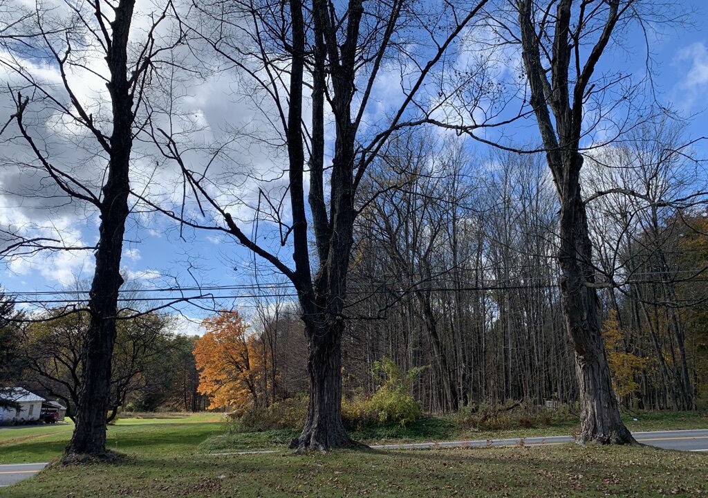 Photo of Others in Greenfield Center