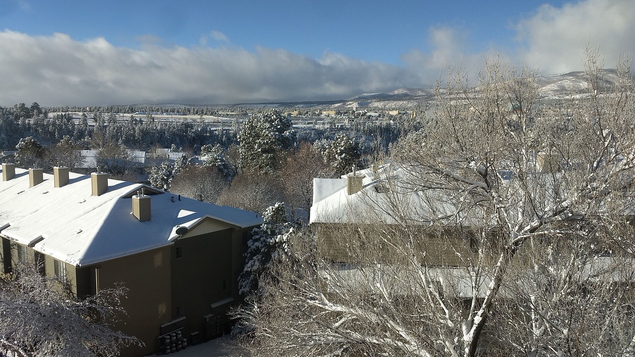Photo of Others in Los Alamos