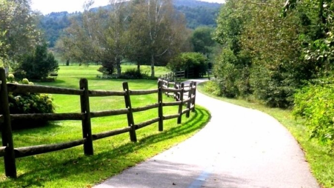 Photo of Others in Stowe Area