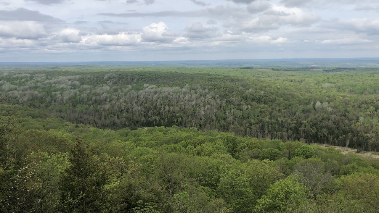 Photo of Outdoor in Washburn
