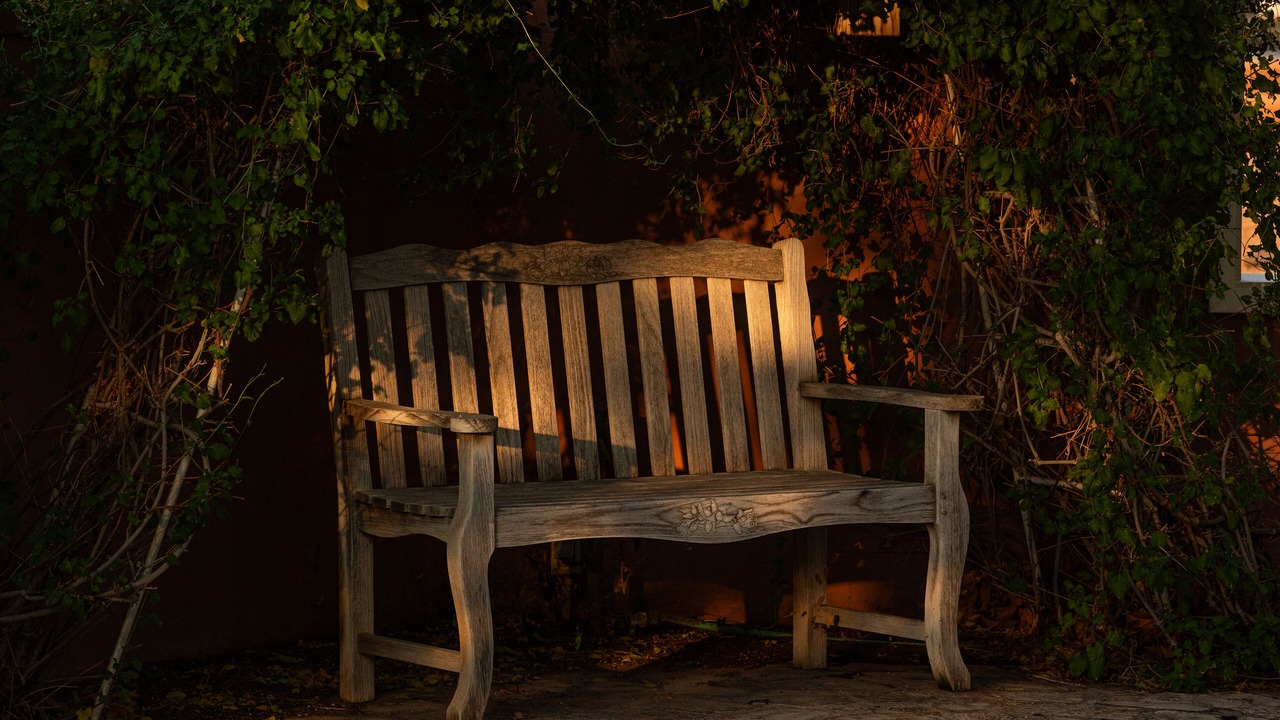 Photo of Outdoor in West Old Town