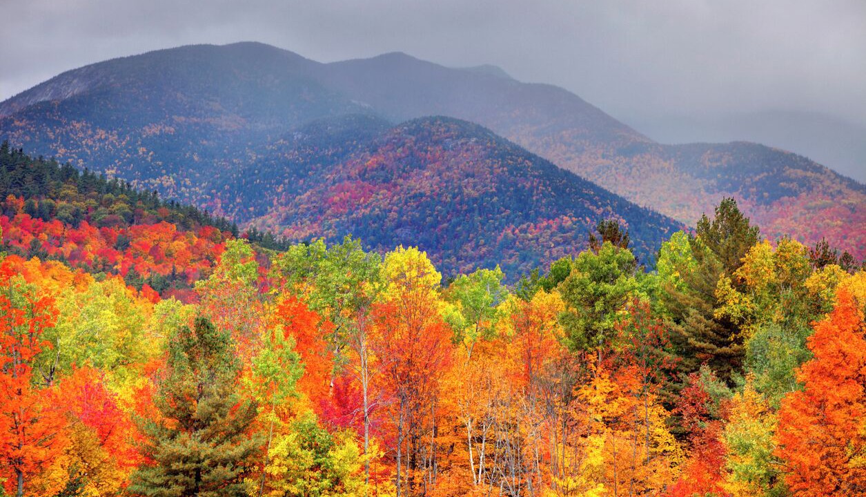 Photo of Outdoor in Lake Placid