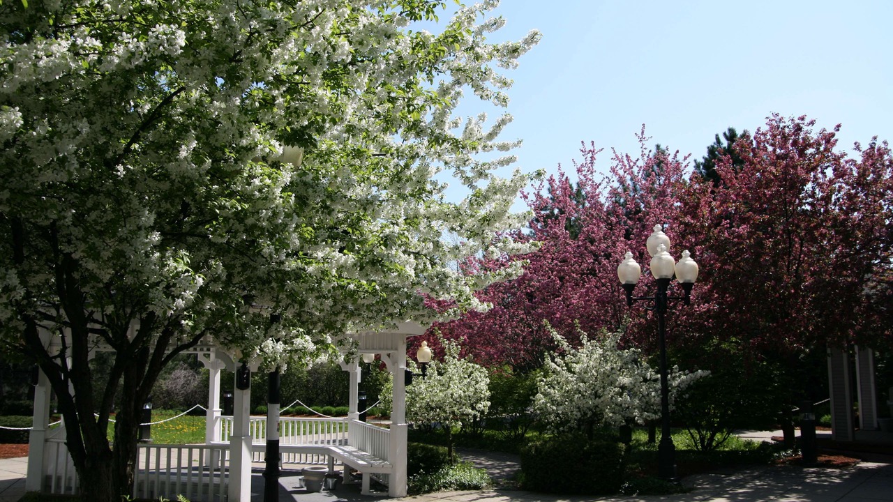 Photo of Outdoor in Burlington