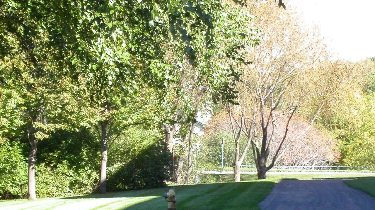 Photo of Others in Plymouth