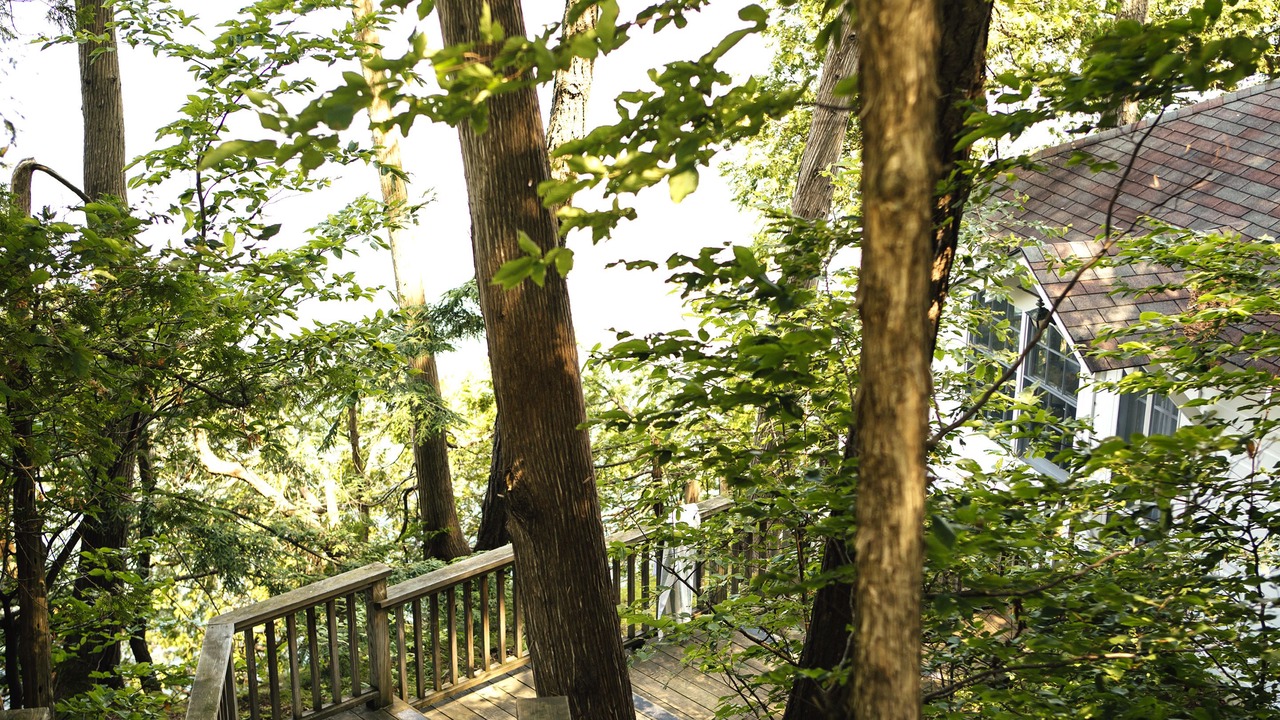 Photo of Outdoor in Vergennes