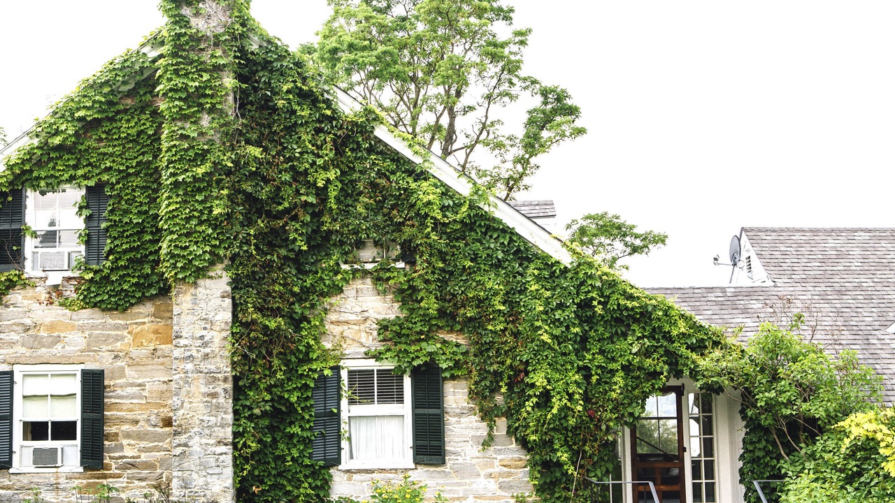Photo of Outdoor in Vergennes