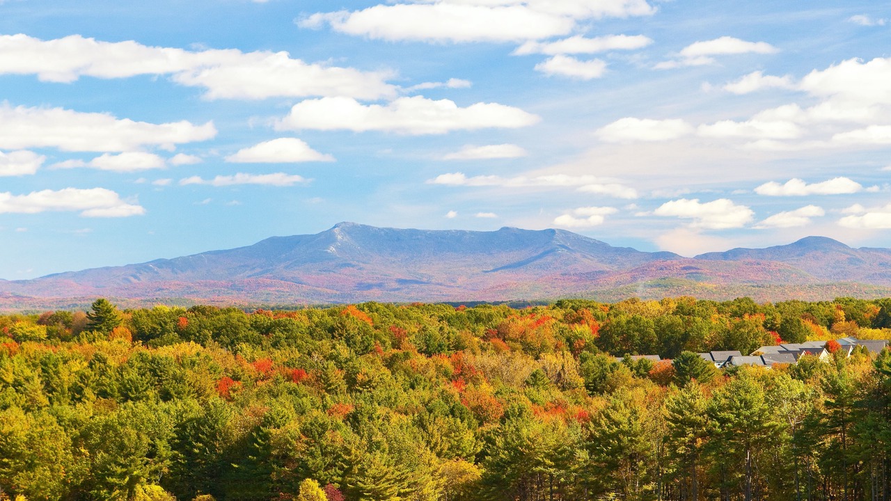Photo of Outdoor in Burlington