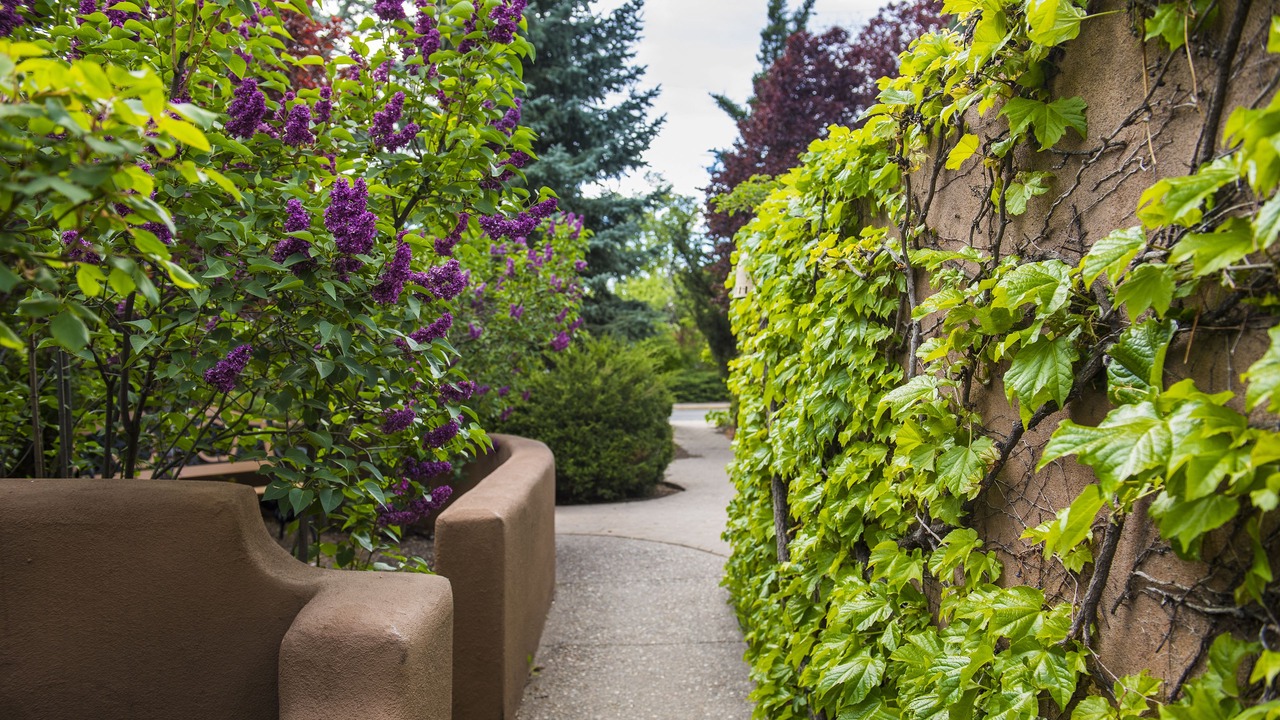 Photo of Outdoor in Historic Eastside