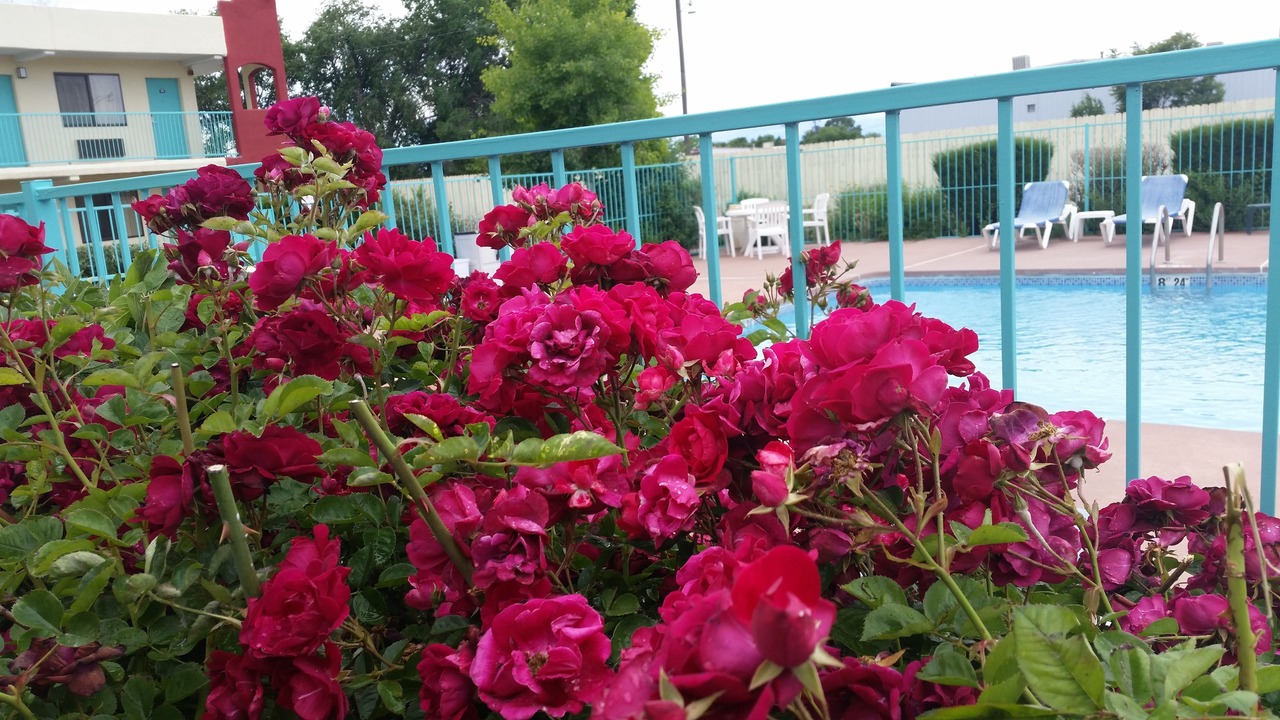 Photo of Outdoor in Southside