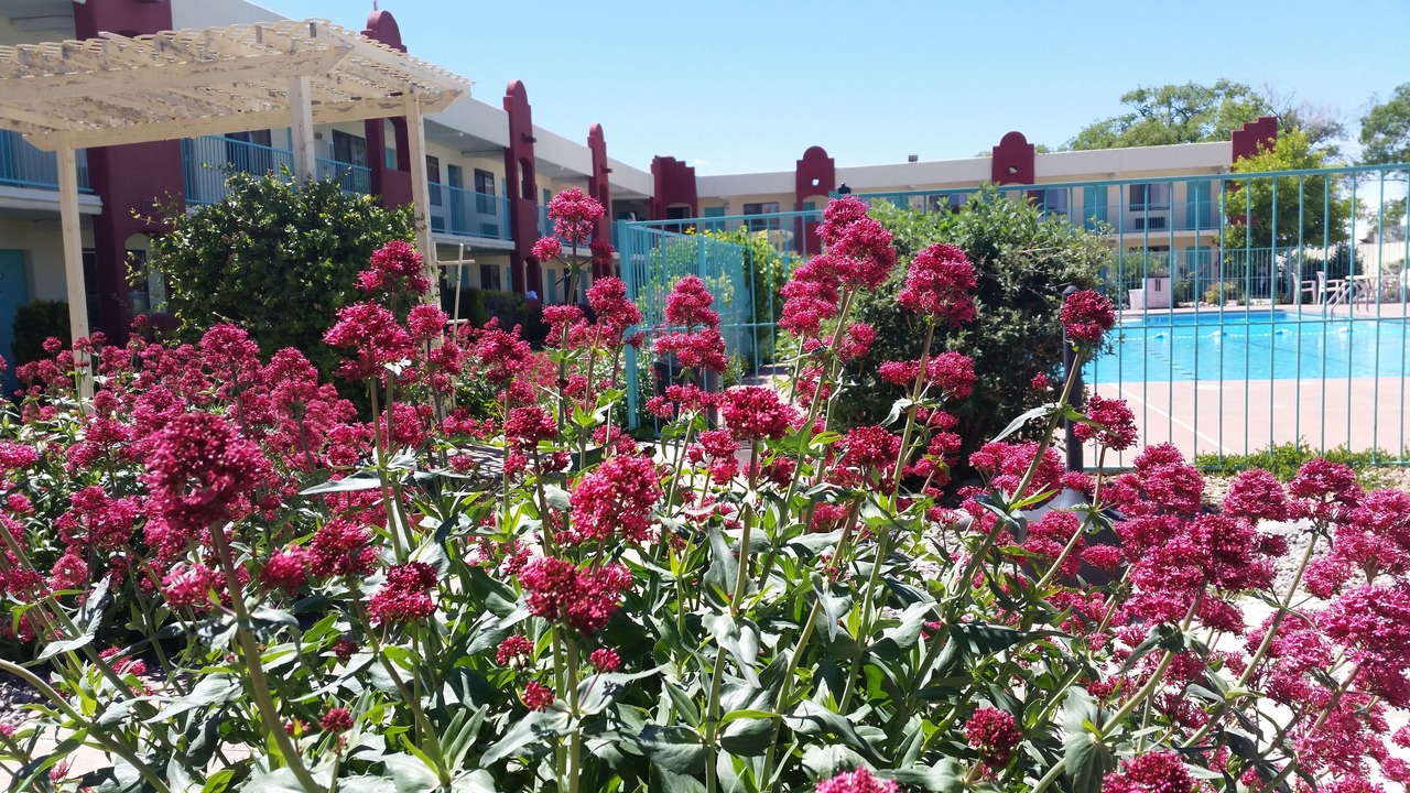 Photo of Outdoor in Southside