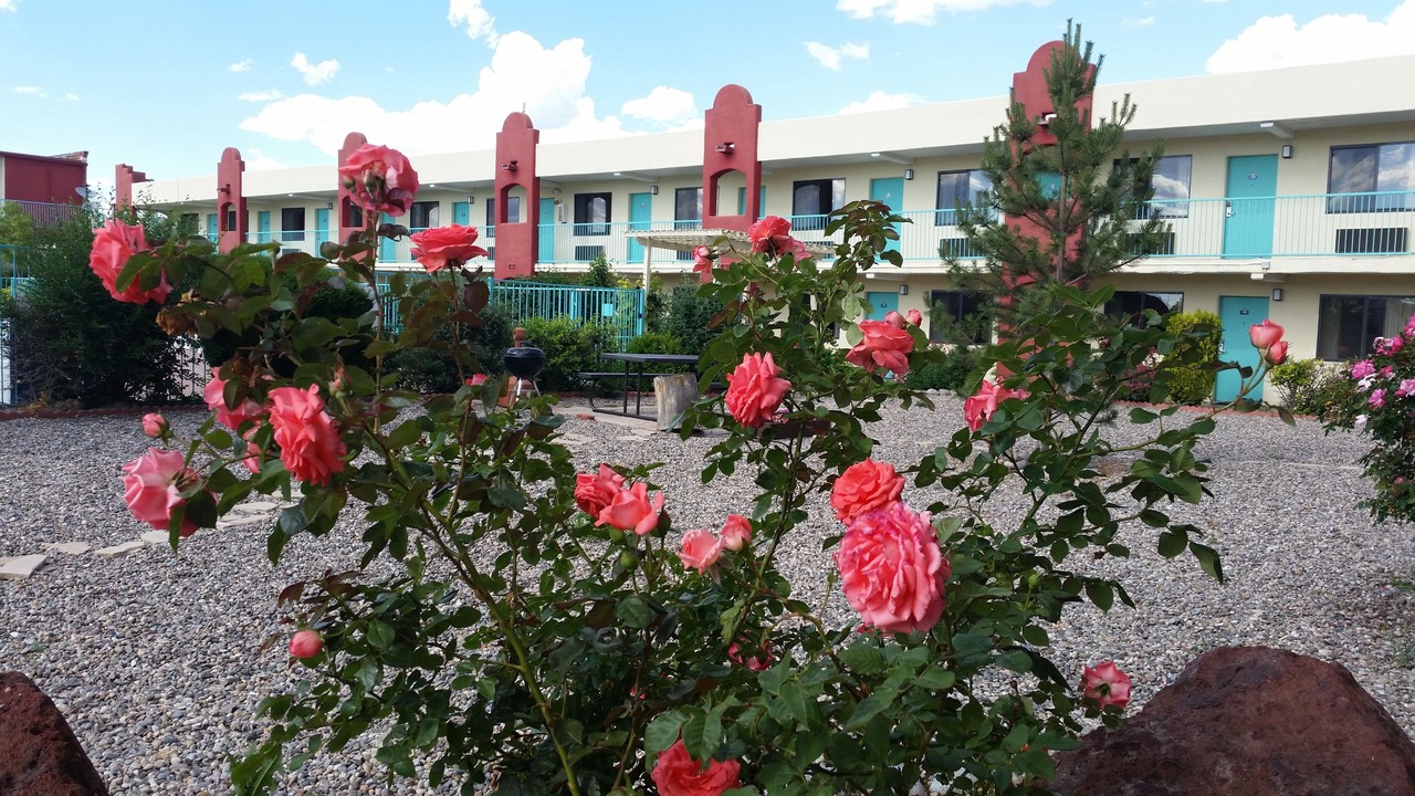 Photo of Outdoor in Southside