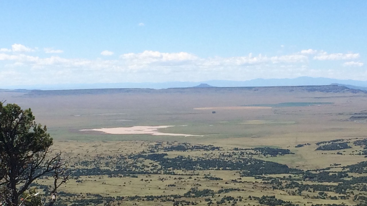Photo of Others in Raton