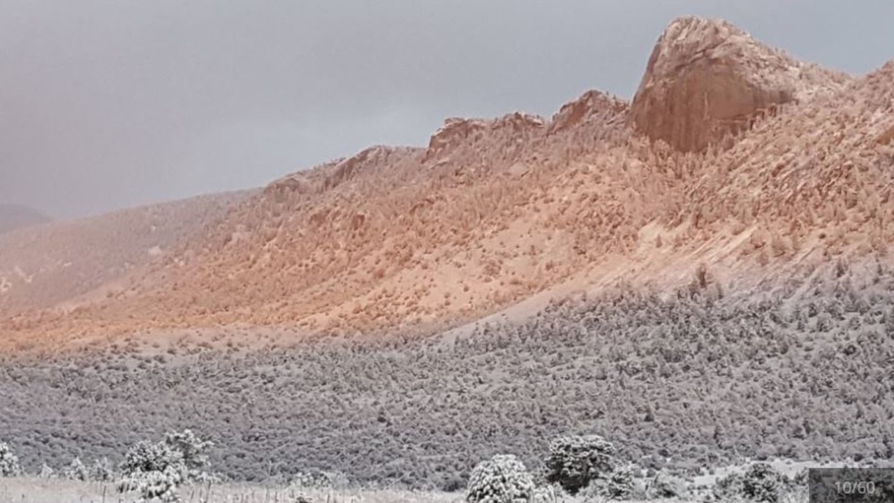 Photo of Others in Cimarron